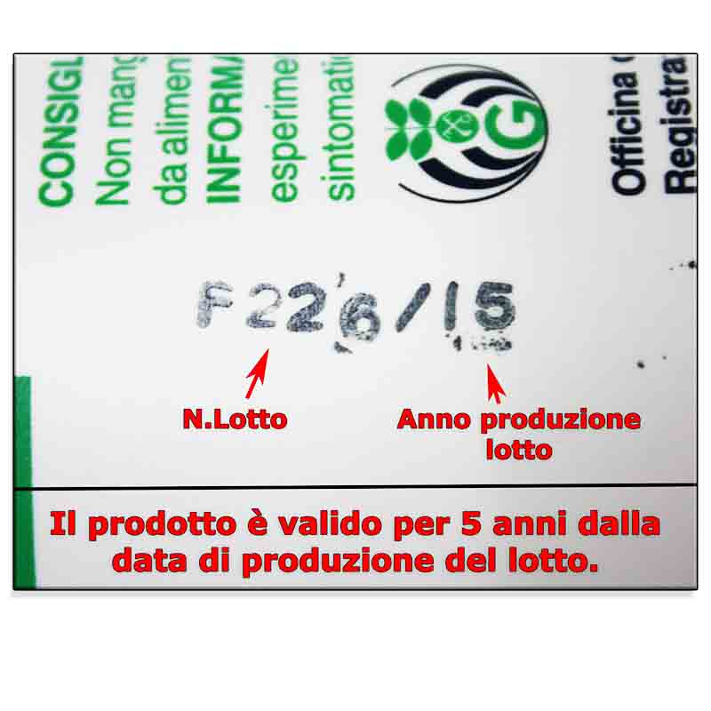 http://www.viscardisrl.it/wp-content/uploads/2016/10/lotto_germon_definitivo.jpg