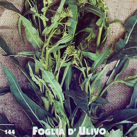 Sementi Da Orto Cima Di Rapa Foglia D Ulivo 500 G