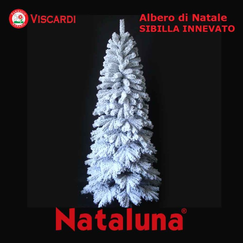 Albero Di Natale 800 Rami.Albero Di Natale Innevato Sibilla Nataluna 2